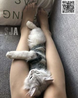 亚洲欧洲综合av_BD超清免费观看